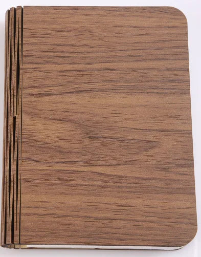 Regemoudal Magnetic Book Light!
