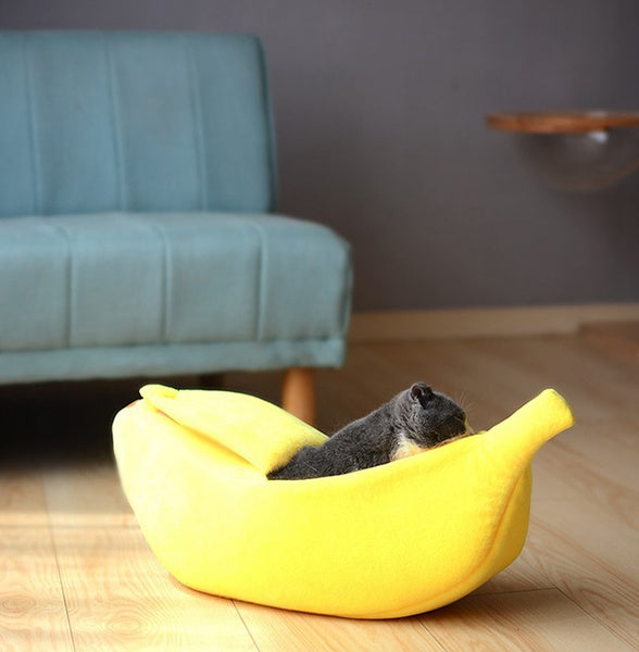 A warm bed for cats