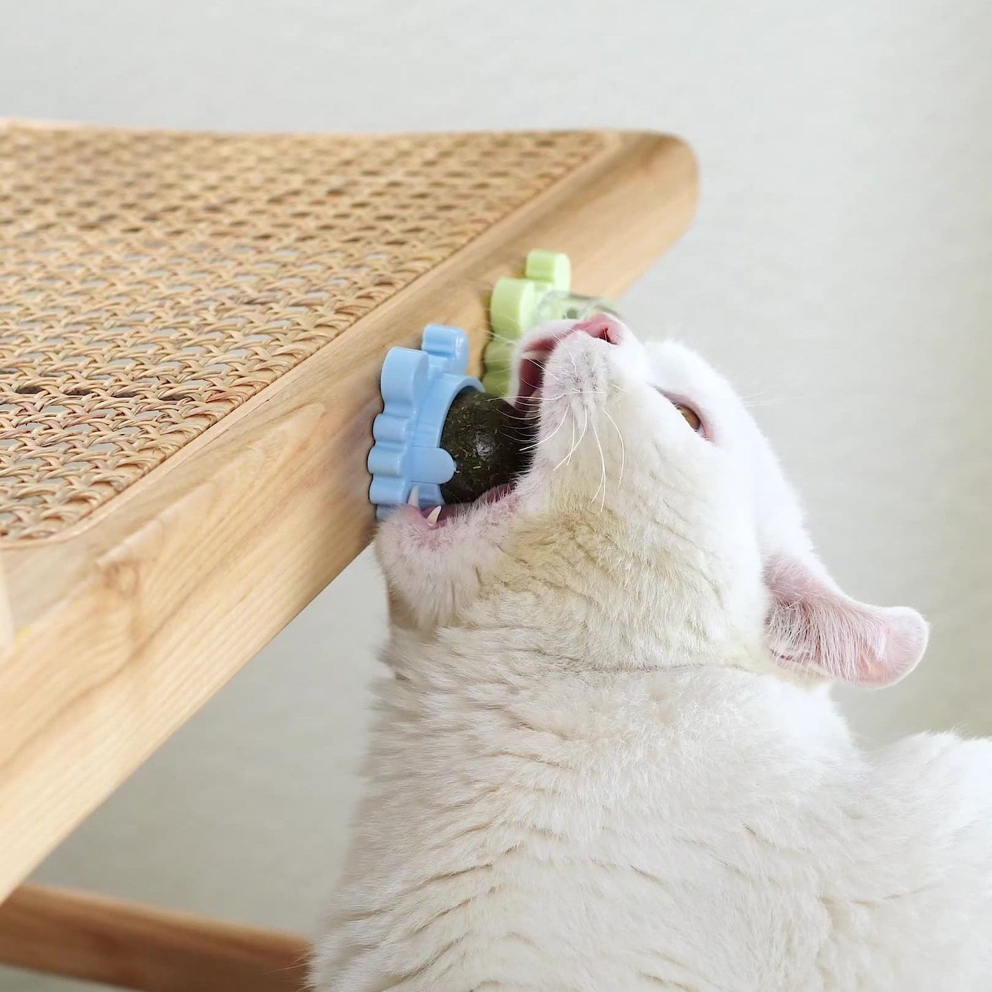 Healthy Catnip ball