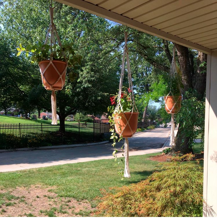 Handmade Macrame Plant