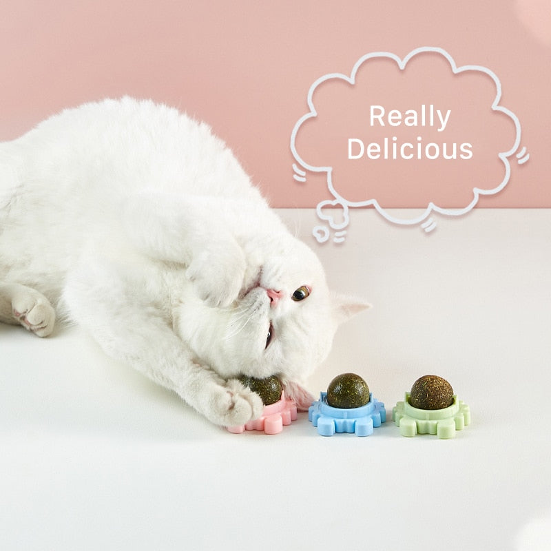 Healthy Catnip ball