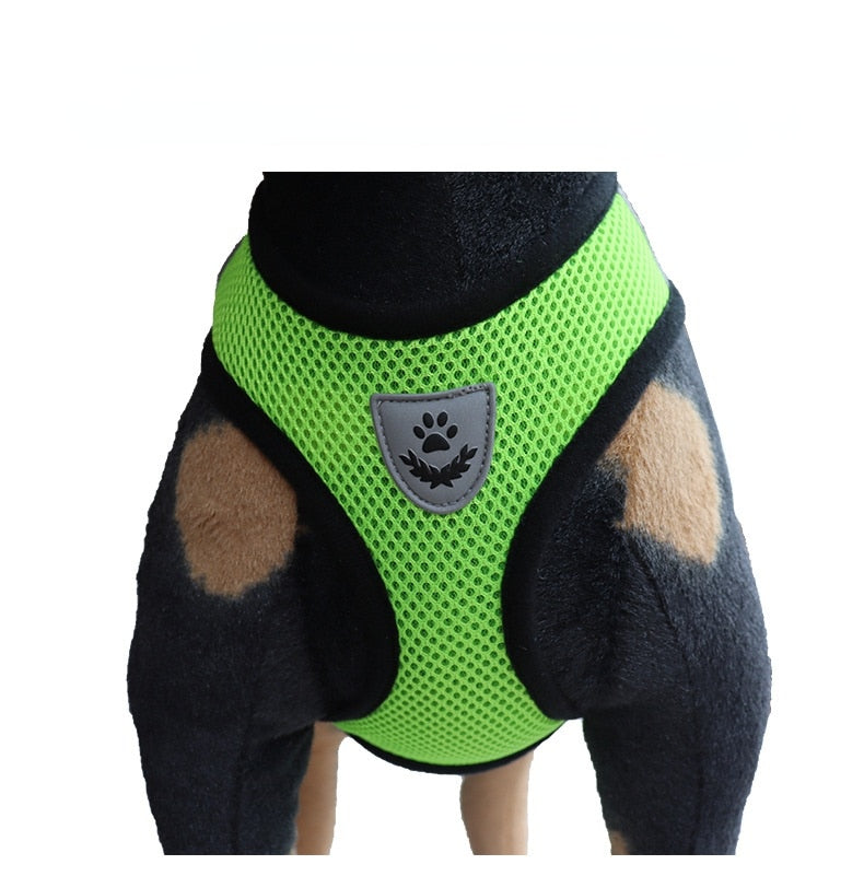 cat walking harness leash