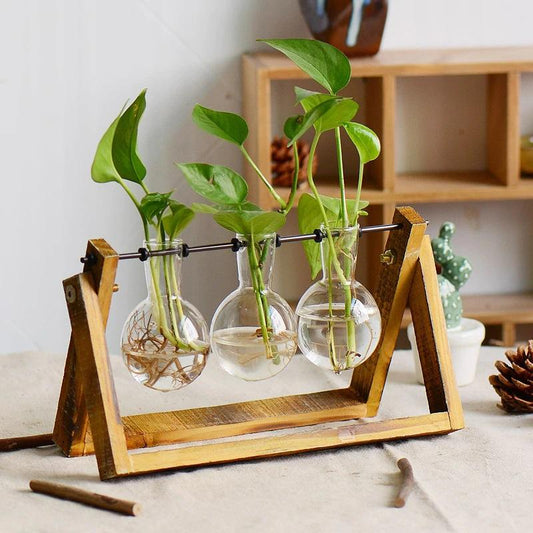 CREATIVE HYDROPONIC PLANT TRANSPARENT VASE