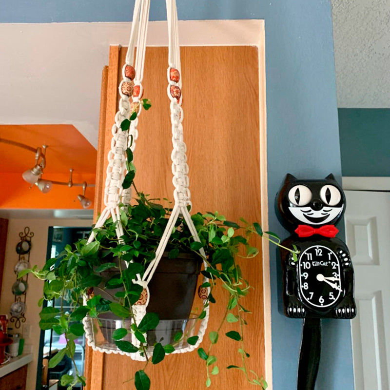 Handmade Macrame Plant