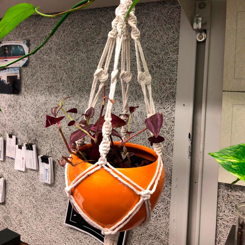 Handmade Macrame Plant