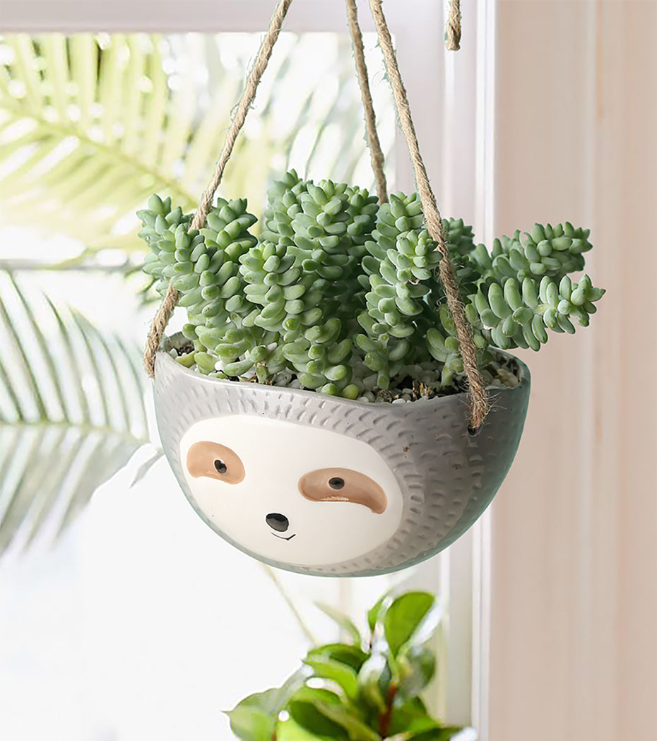Hanging Sloth Planter