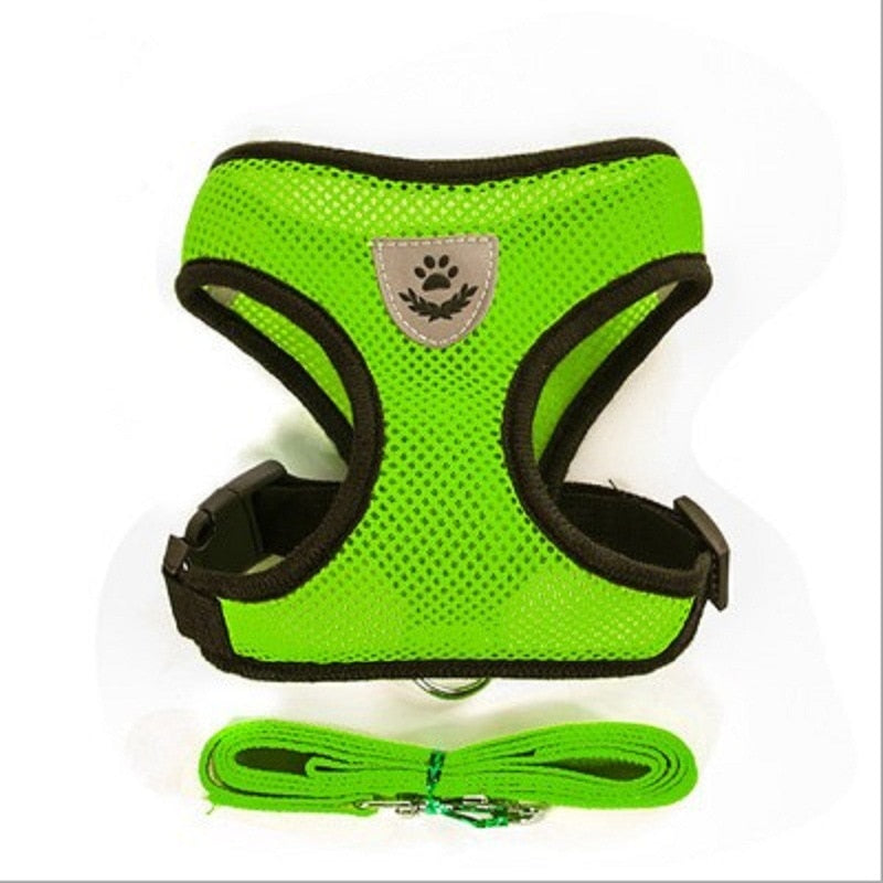 cat walking harness leash