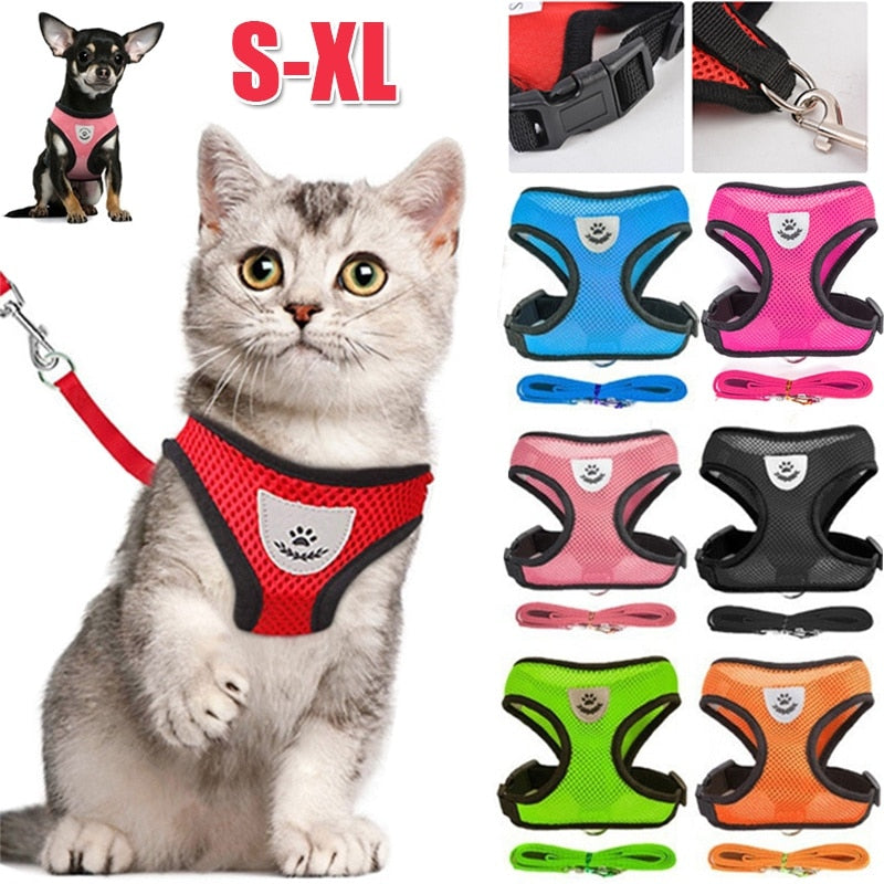 cat walking harness leash