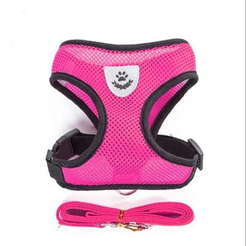 cat walking harness leash