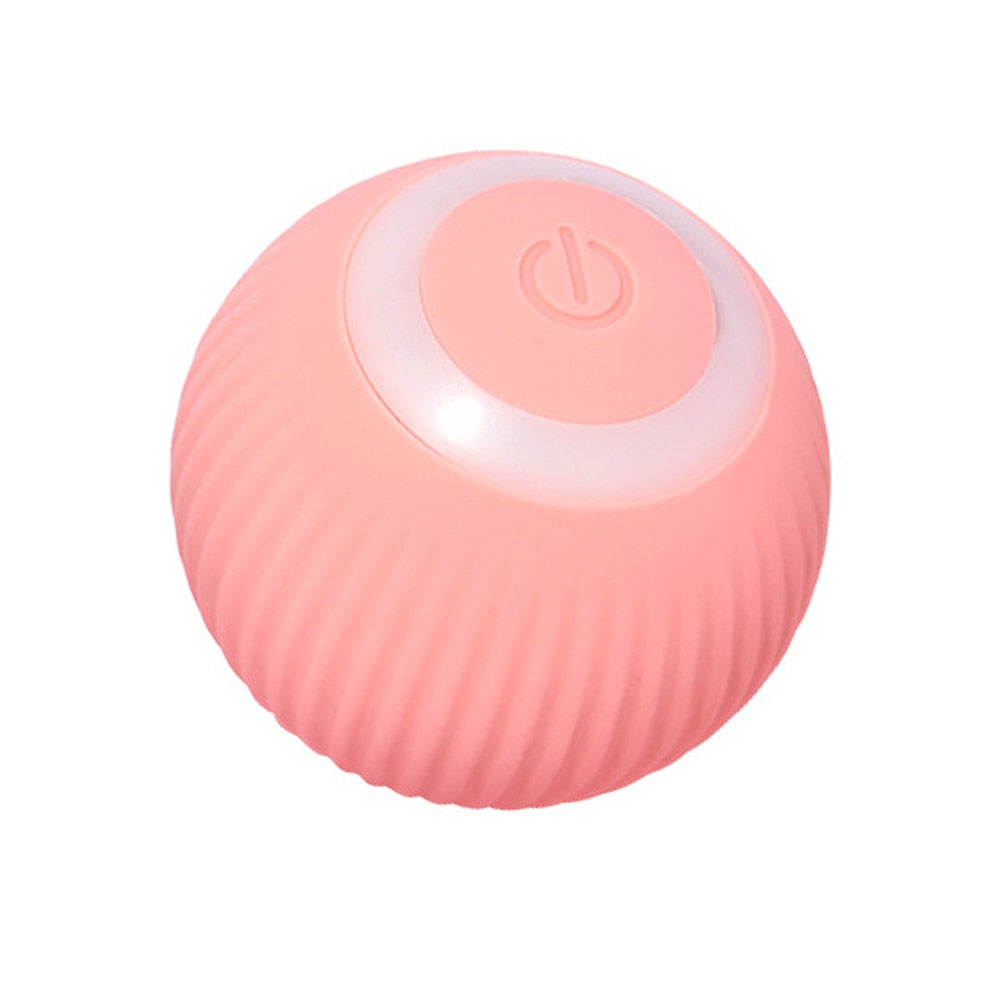 SMART BALL FOR CAT