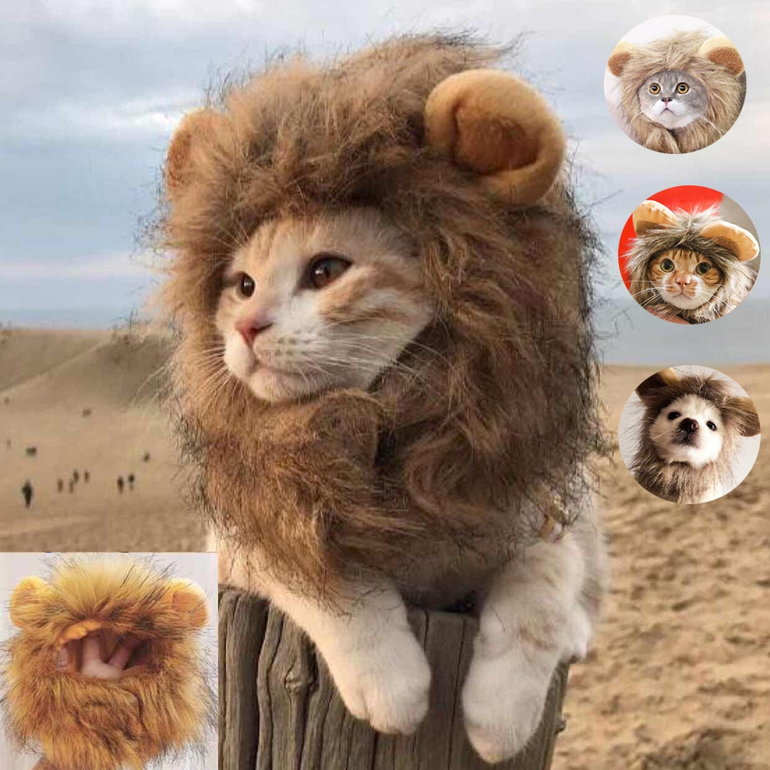Lion wig for pets