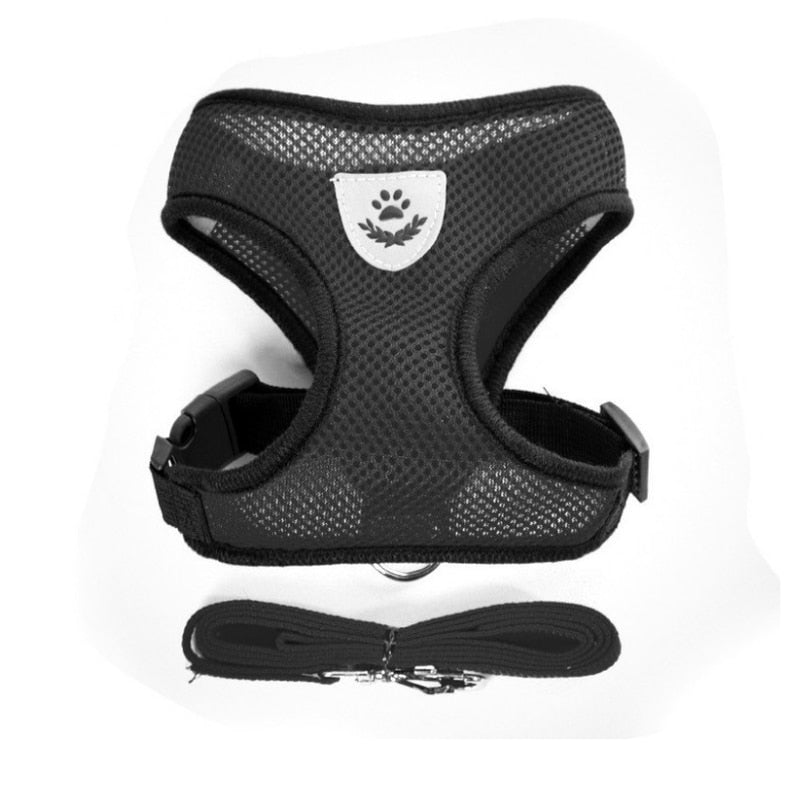 cat walking harness leash