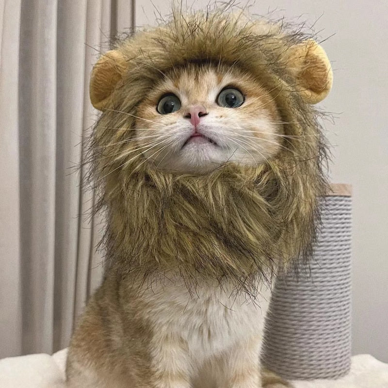 Lion wig for pets