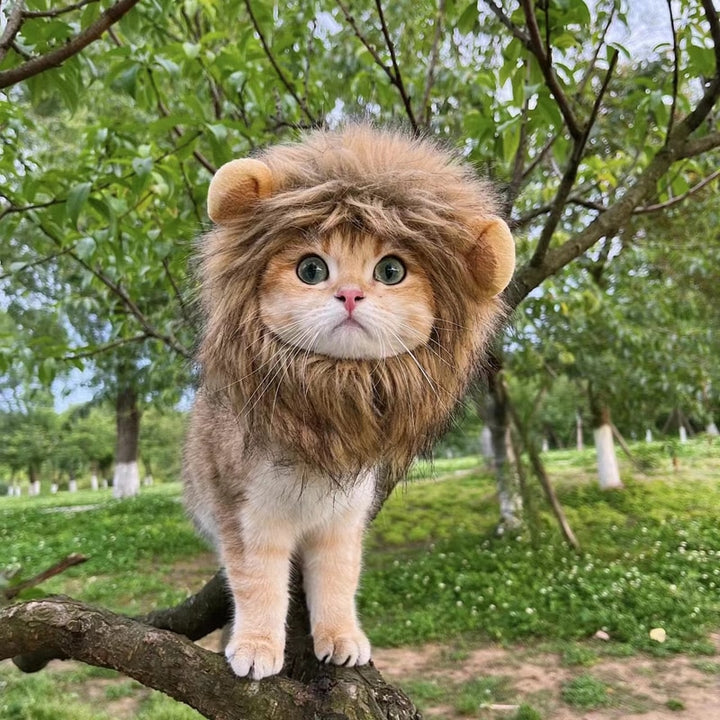 Lion wig for pets