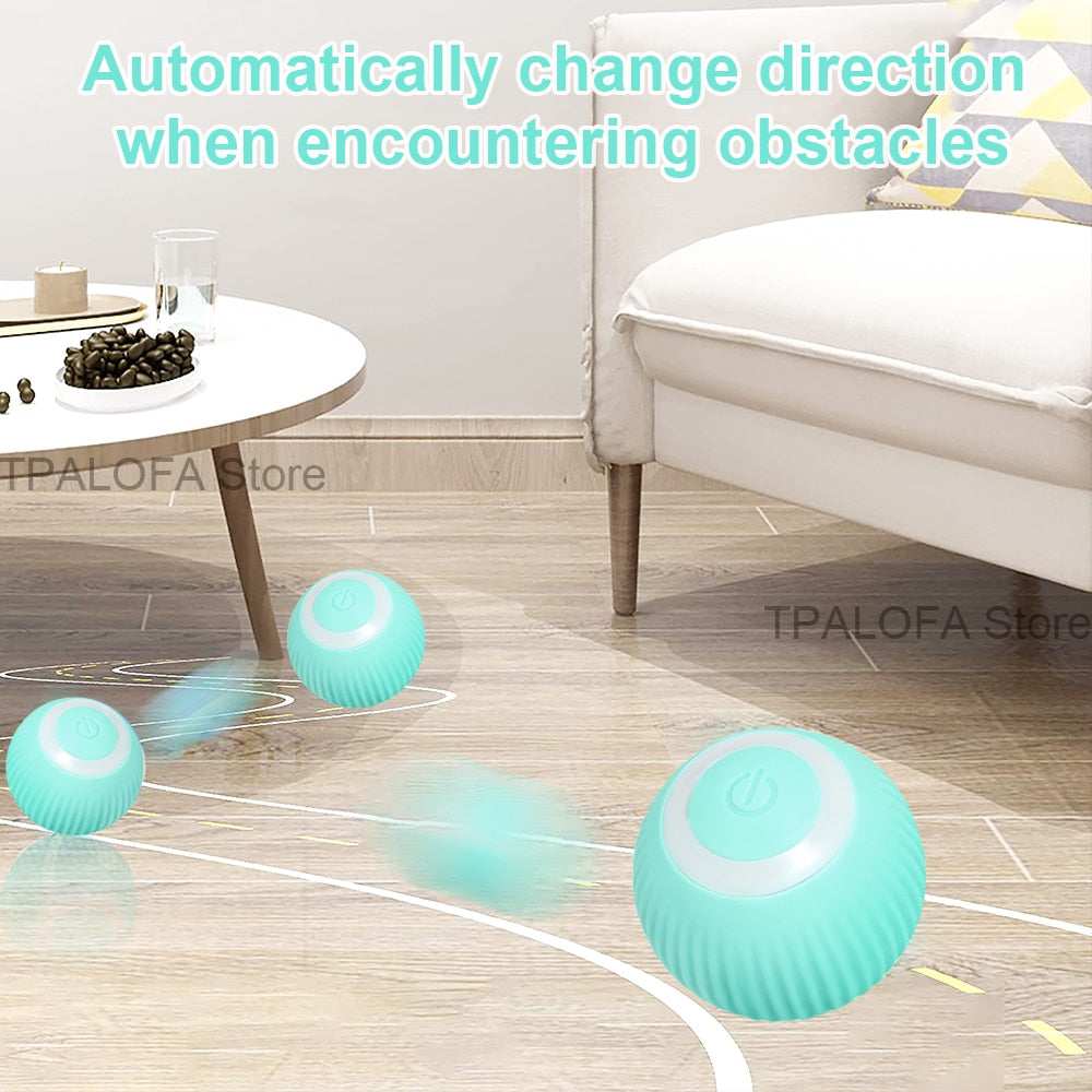 SMART BALL FOR CAT