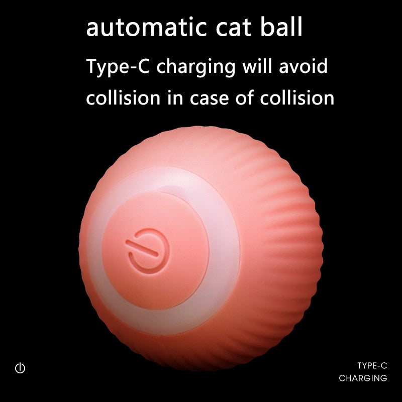 SMART BALL FOR CAT