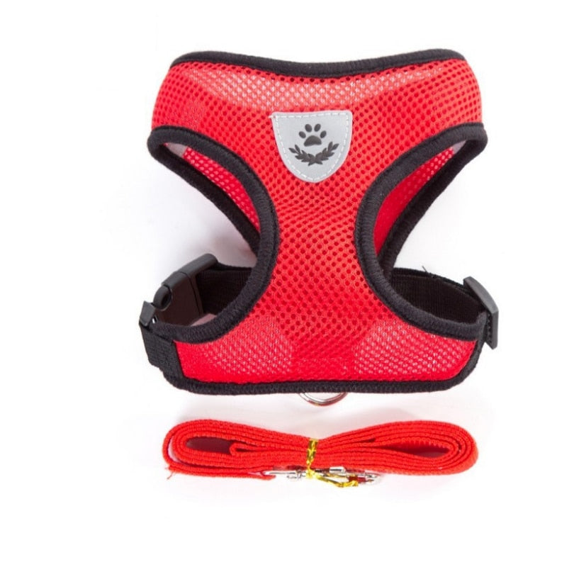 cat walking harness leash
