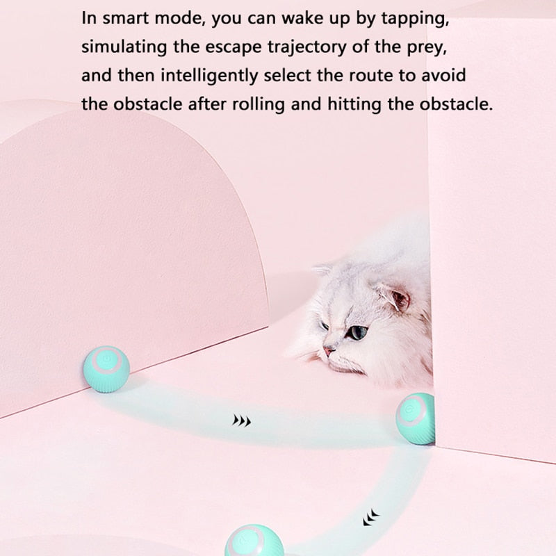 SMART BALL FOR CAT