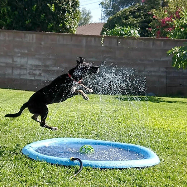 Dog Splash Sprinkler Pad