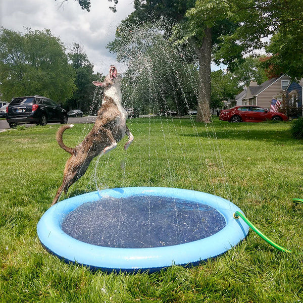 Dog Splash Sprinkler Pad