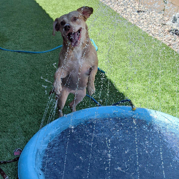 Dog Splash Sprinkler Pad