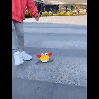 Escaping Crab Toy – Chasing Toy for Toddlers