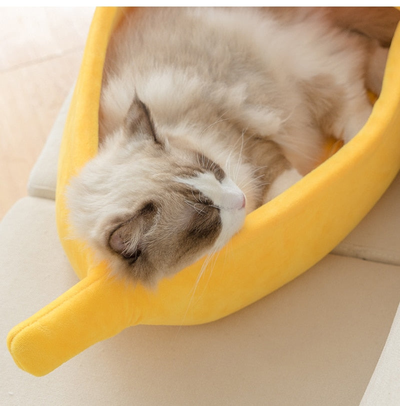 A warm bed for cats