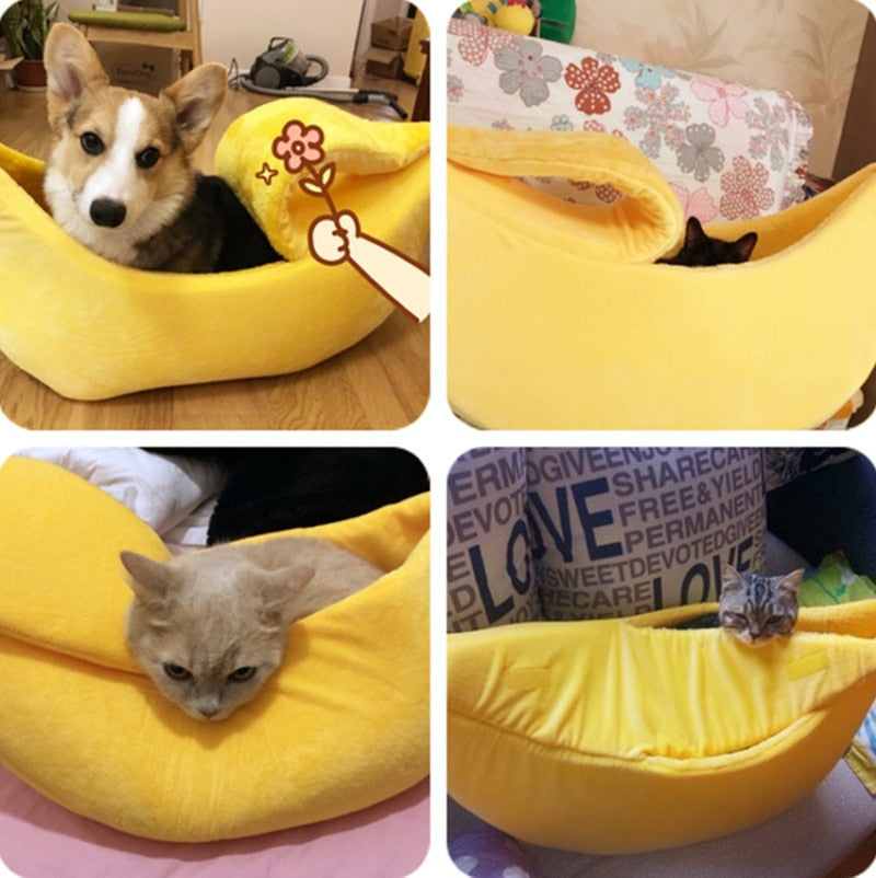 A warm bed for cats