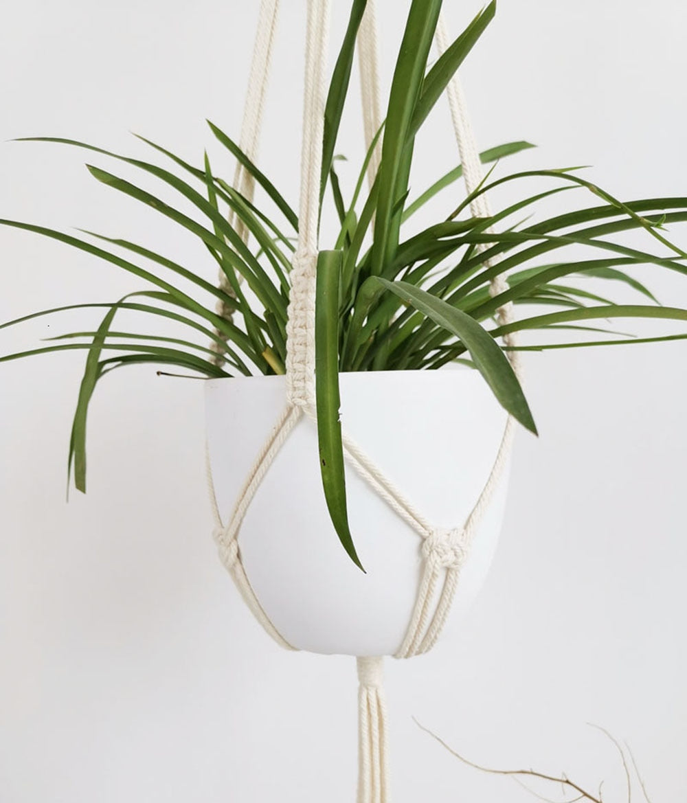 Handmade Macrame Plant