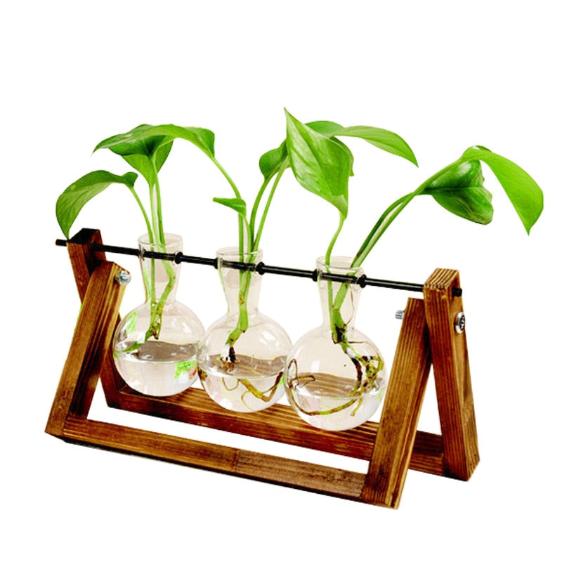 CREATIVE HYDROPONIC PLANT TRANSPARENT VASE