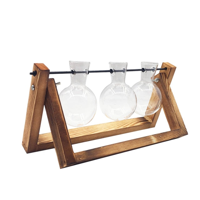 CREATIVE HYDROPONIC PLANT TRANSPARENT VASE