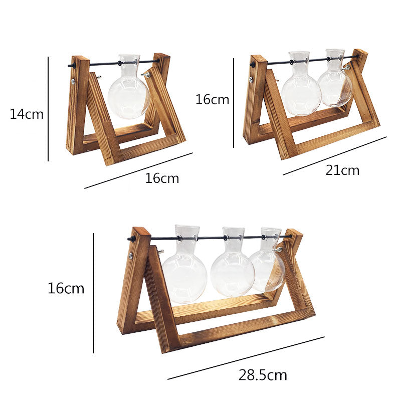 CREATIVE HYDROPONIC PLANT TRANSPARENT VASE