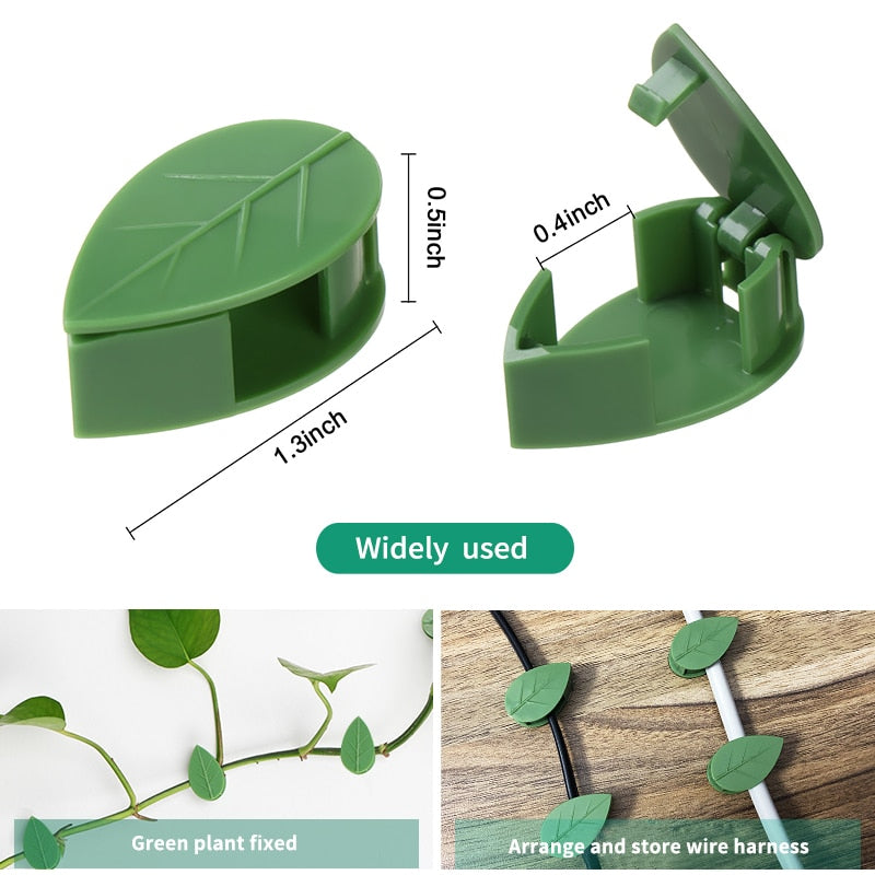 Plant Climbing Wall Fixture Clips