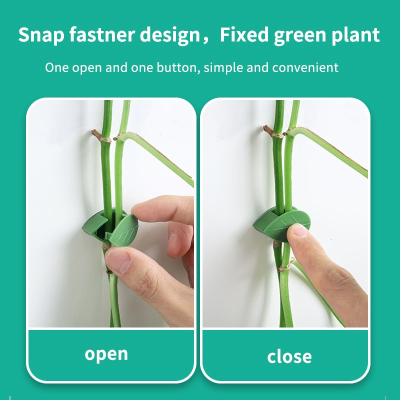 Plant Climbing Wall Fixture Clips