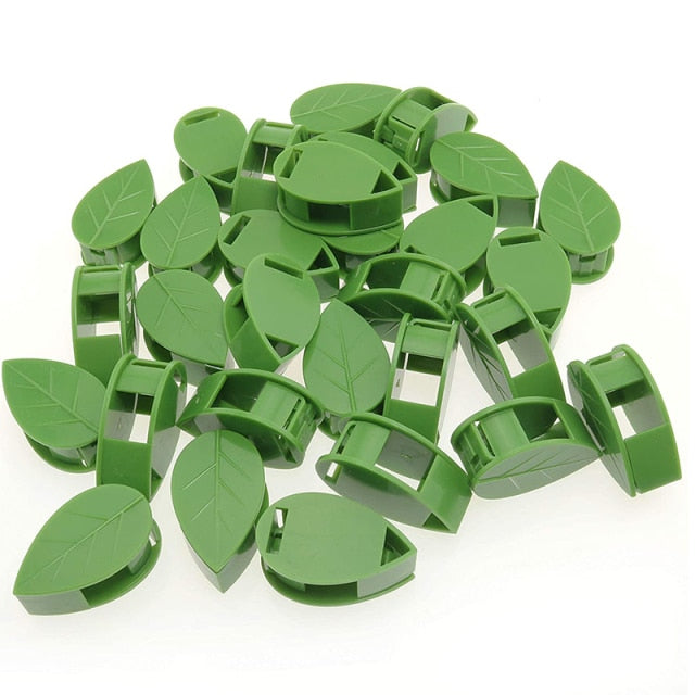 Plant Climbing Wall Fixture Clips