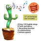 Dancing Cactus Toy!