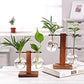 Glass vase for plants