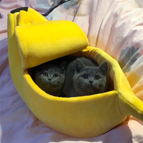 A warm bed for cats