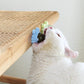 Healthy Catnip ball