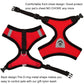 cat walking harness leash