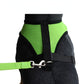 cat walking harness leash