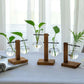 Glass vase for plants