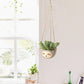 Hanging Sloth Planter