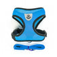 cat walking harness leash