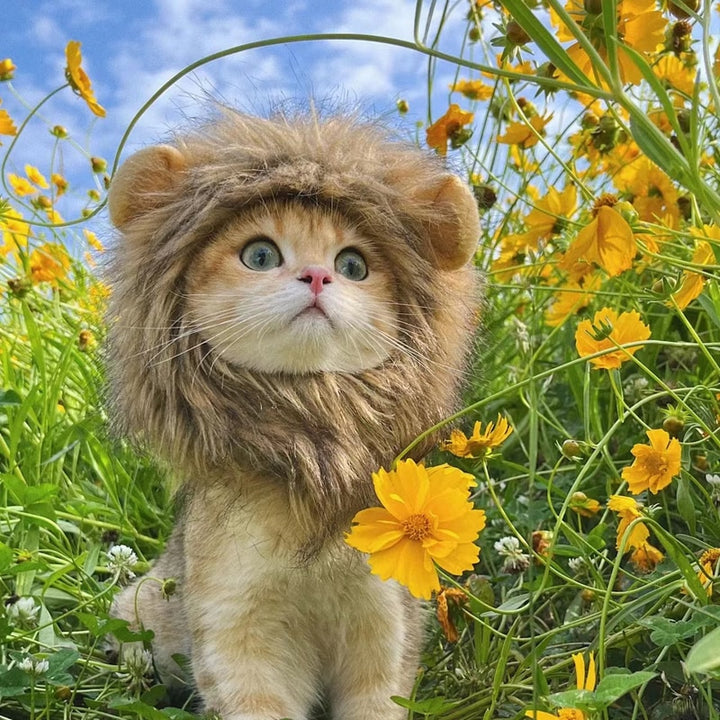 Lion wig for pets