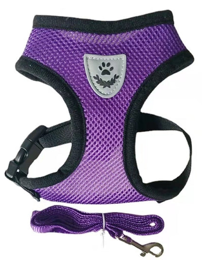 cat walking harness leash