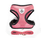 cat walking harness leash