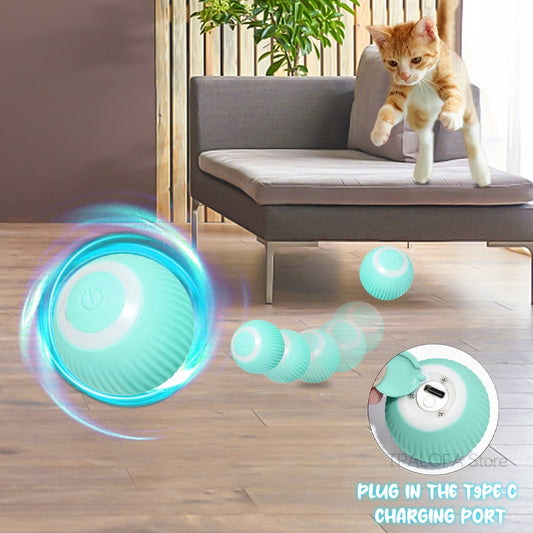 SMART BALL FOR CAT