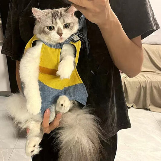 Pet Backpack