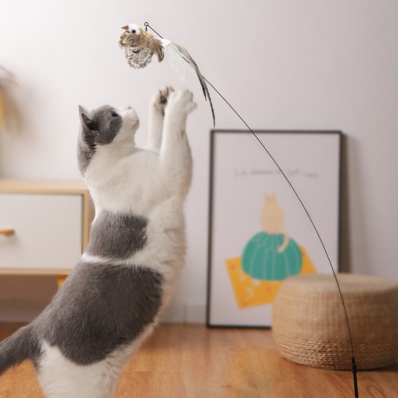 Simulation Bird interactive Cat Toy